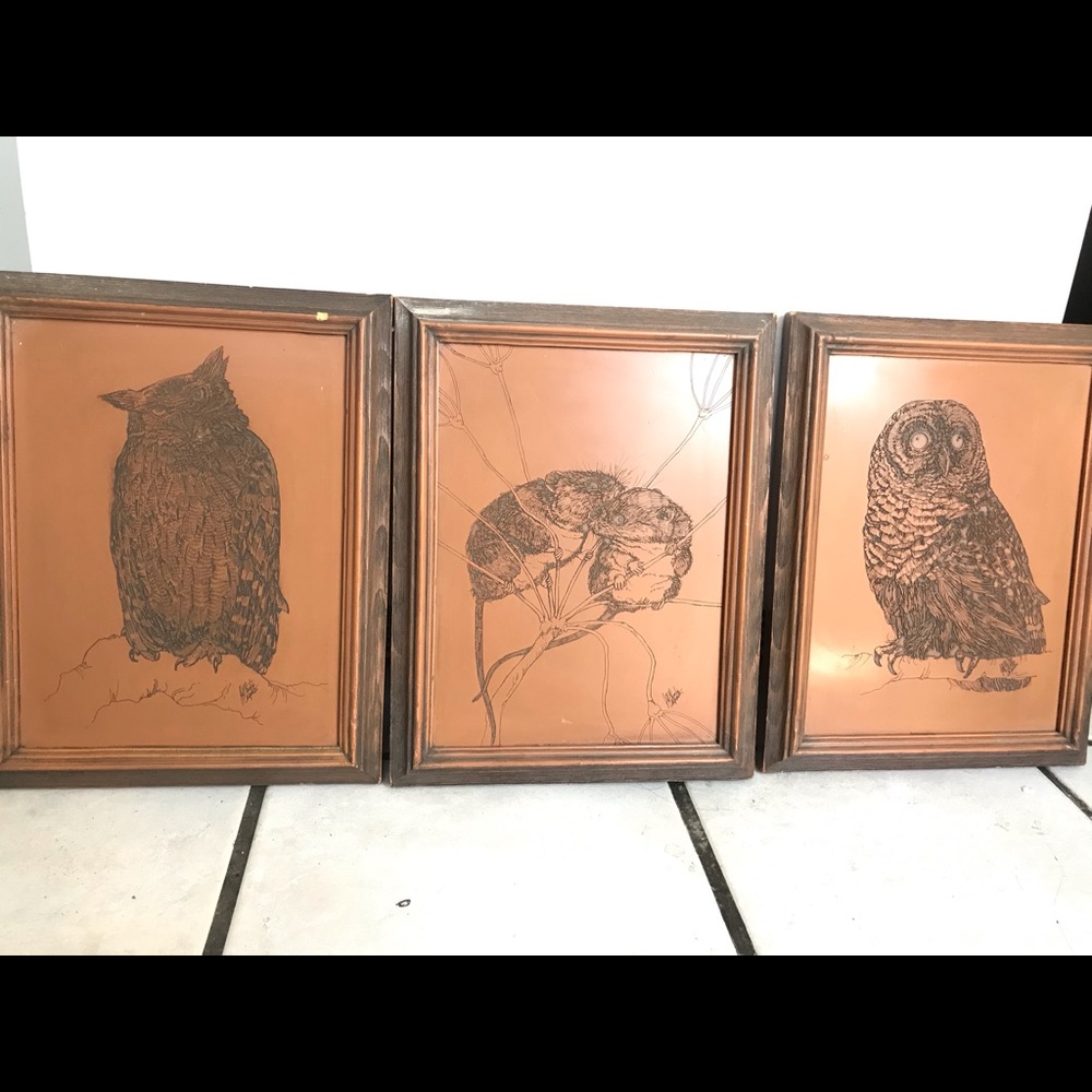 Vintage wood like owl and mice etching set